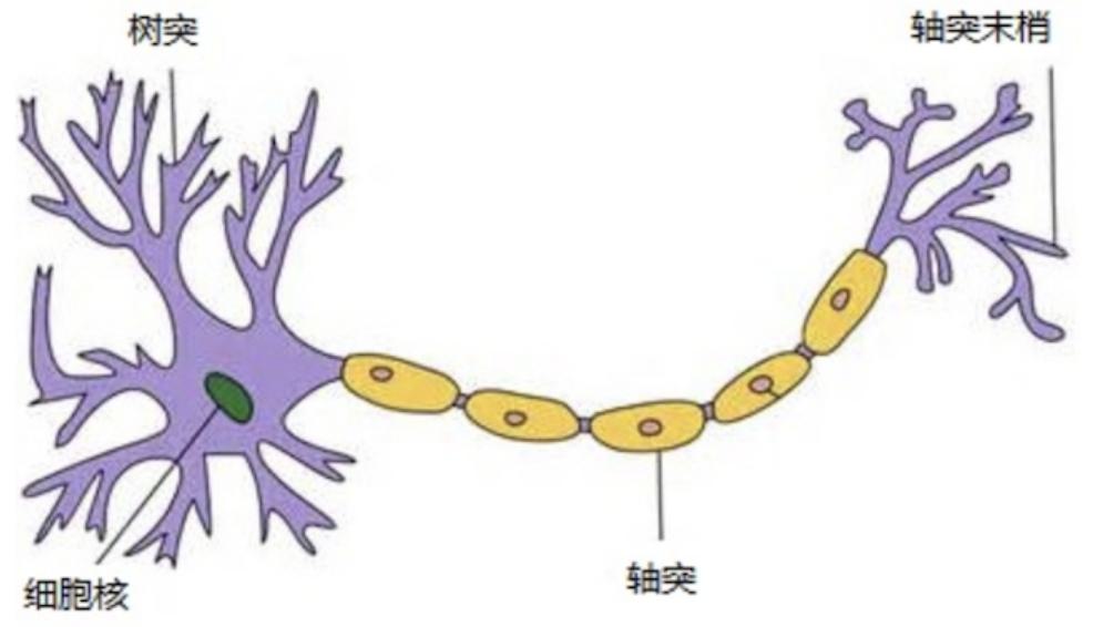 image-20260629155823892