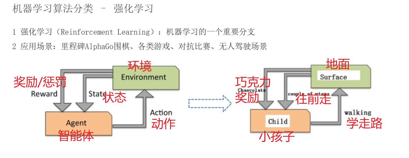 image-20260301111147510